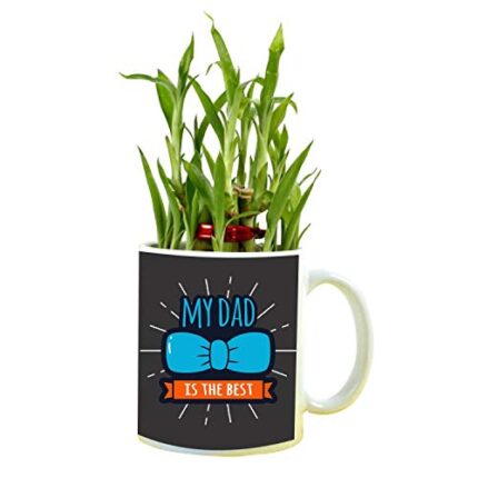 YaYa cafe Birthday Gifts for Father My Dad is The Best Feng Shui Lucky Bamboo Plant Indoor Mug Planter Pot - Image 1