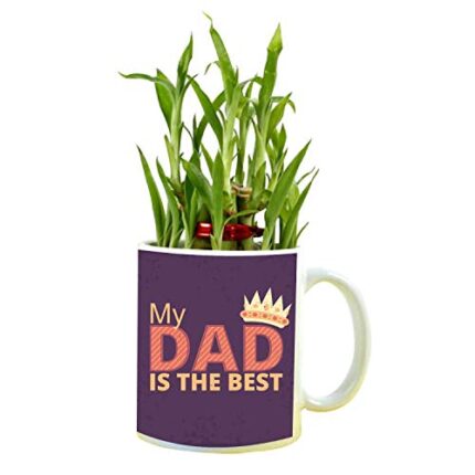 YaYa cafe Birthday Gifts for Father My Dad is The Best Feng Shui Lucky Bamboo Plant Indoor Mug Planter Pot - Image 1