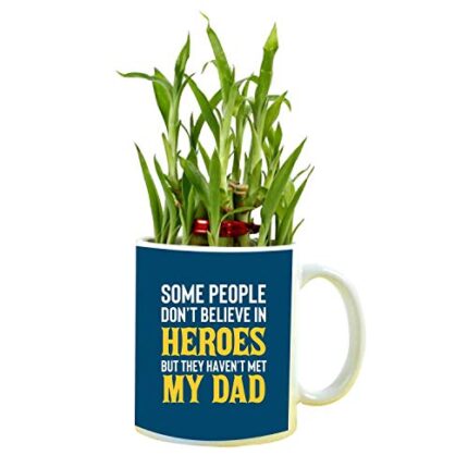 YaYa cafe Birthday Gifts for Father My Dad is a Hero Feng Shui Lucky Bamboo Plant Indoor Mug Planter Pot - Image 1