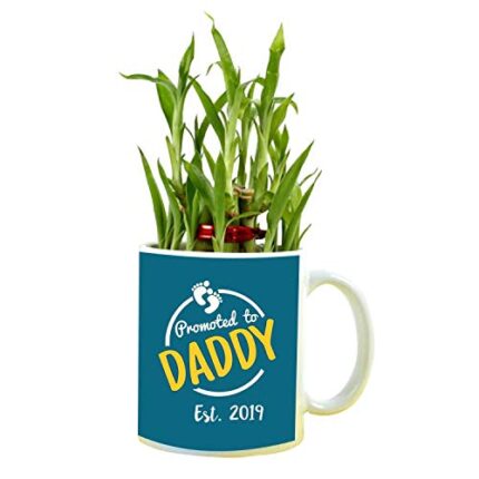 YaYa cafe Birthday Gifts for Father Promoted to Daddy Feng Shui Lucky Bamboo Plant Indoor Mug Planter Pot - Image 1