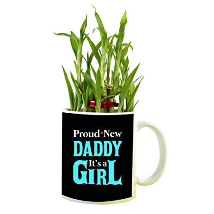 YaYa cafe Birthday Gifts for Father Proud Daddy It's A Girl Feng Shui Lucky Bamboo Plant Indoor Mug Planter Pot - Image 1