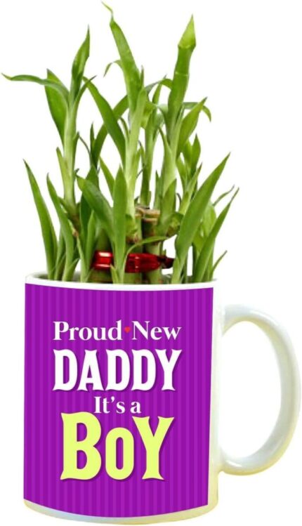 YaYa cafe Birthday Gifts for Father Proud Daddy It's a Boy Feng Shui Lucky Bamboo Plant Indoor Mug Planter Pot - Image 1