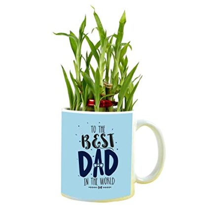 YaYa cafe Birthday Gifts for Father to The Best Dad in The World Feng Shui Lucky Bamboo Plant Indoor Mug Planter Pot - Image 1