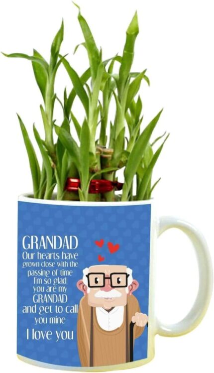 YaYa cafe Birthday Gifts for Grandad Grandad I Love You Feng Shui Lucky Bamboo Plant Indoor Mug Planter Pot - Image 1
