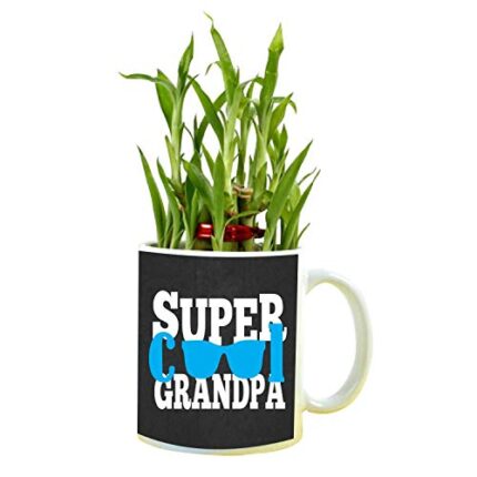 YaYa cafe Birthday Gifts for Grandad Grandpa Feng Shui Lucky Bamboo Plant Indoor Mug Planter Pot - Image 1