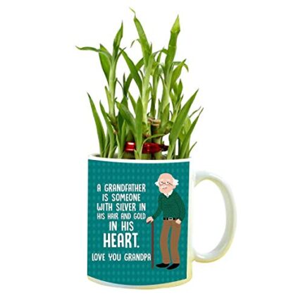 YaYa cafe Birthday Gifts for Grandad Heart Grandad Feng Shui Lucky Bamboo Plant Indoor Mug Planter Pot - Image 1