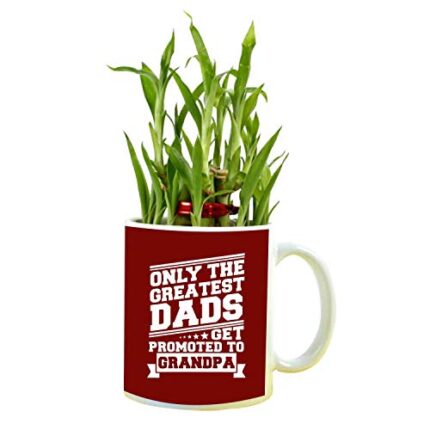 YaYa cafe Birthday Gifts for Grandad Only The Greatest Dads Get Promoted to Grandpa Feng Shui Lucky Bamboo Plant Indoor Mug Planter Pot - Image 1