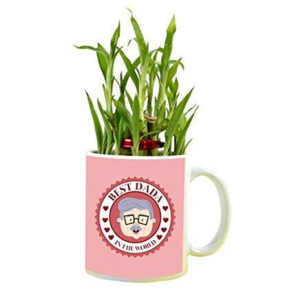 YaYa cafe Birthday Gifts for Grandad in The World Feng Shui Lucky Bamboo Plant Indoor Mug Planter Pot - Image 1