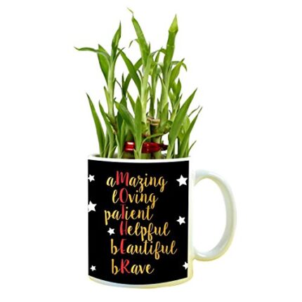 YaYa cafe Birthday Gifts for Mom, Amazing Mother Mom Feng Shui Lucky Bamboo Indoor Mug Planter Pot - Image 1