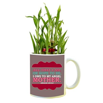 YaYa cafe Birthday Gifts for Mom, Angel Mother Feng Shui Lucky Bamboo Indoor Mug Planter with 1 Tier - Image 1