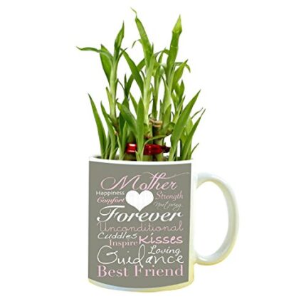 YaYa cafe Birthday Gifts for Mom, Mother Forever Feng Shui Lucky Bamboo Indoor Mug Planter with 2 Tier - Image 1