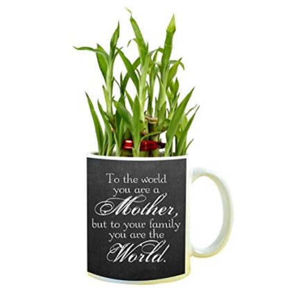 YaYa cafe Birthday Gifts for Mom, Mother World Feng Shui Lucky Bamboo Indoor Mug Planter with 2 Tier - Image 1