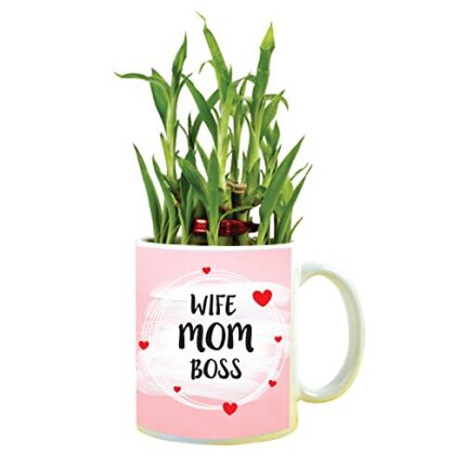 YaYa cafe Birthday Gifts for Mom, Wife Mom Boss Feng Shui Lucky Bamboo Indoor Mug Planter with 1 Tier - Image 1