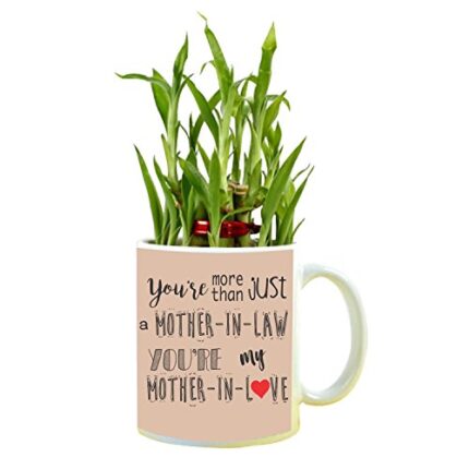 YaYa cafe Birthday Gifts for Mother in Law, Mother in Love Feng Shui Lucky Bamboo Indoor Mug Planter with 2 Tier - Image 1