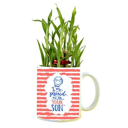 YaYa cafe I'm Proud to Be Your Son Feng Shui Lucky Bamboo Plant Indoor Mug Planter Pot - Image 1