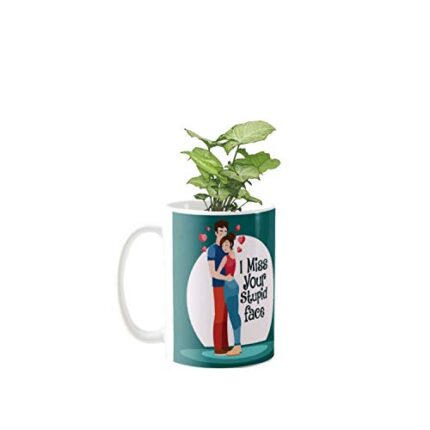 YaYa cafe Valentine Gifts Exotic Syngonium Green Plant Indoor I Miss Your Stupid Face Printed Mug Planter | Air Purifying | Green Gifts | Feng Shui - Image 1