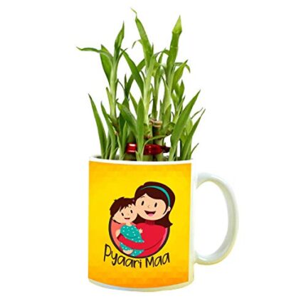 YaYa cafe for Mother, Pyaari Maa Feng Shui Lucky Bamboo Indoor Mug Planter with 2 Tier - Image 1