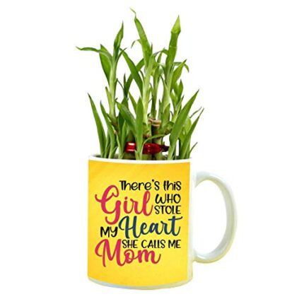 YaYa cafe for Mother There is This Girl Who Stole My Heart She Calls Me Mom Daughter Feng Shui Lucky Bamboo Indoor Mug Planter with 2 Tier - Image 1